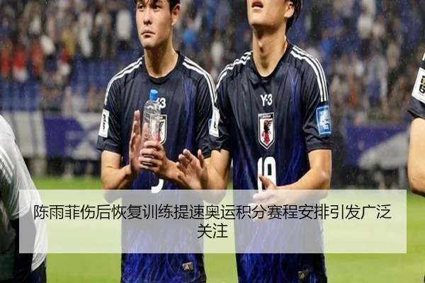 陈雨菲伤后恢复训练提速奥运积分赛程安排引发广泛关注